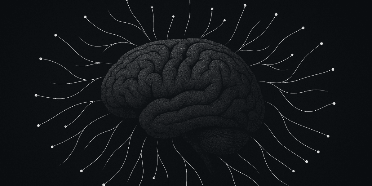 NEWMACI application 3